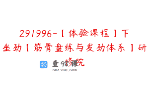 291996-【体验课程】下坐劲【筋骨盘练与发劲体系】研修院
