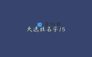 天选姓名学15