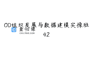 OD组织发展与数据建模实操班42