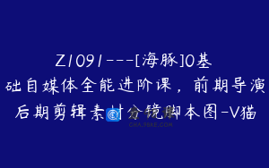 Z1091---[海豚]0基础自媒体全能进阶课，前期导演后期剪辑素材分镜脚本图-V猫