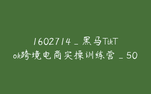 1602714_黑马TikTok跨境电商实操训练营_50
