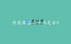传武根基之手与足合5