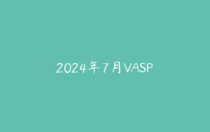 2024年7月VASP