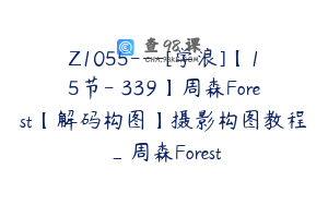 Z1055---[学浪]【15节-￥339】周森Forest【解码构图】摄影构图教程_周森Forest