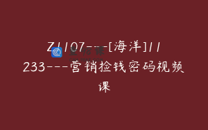 Z1107---[海洋]11233---营销捡钱密码视频课