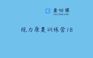 视力康复训练营18