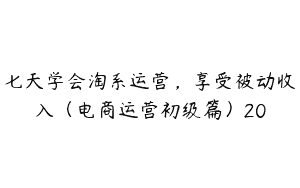 七天学会淘系运营，享受被动收入（电商运营初级篇）20