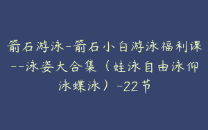 箭石游泳-箭石小白游泳福利课--泳姿大合集（蛙泳自由泳仰泳蝶泳）-22节