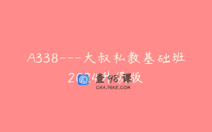 A338---大叔私教基础班2024升级版