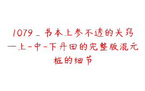 1079_书本上参不透的关窍—上-中-下丹田的完整版混元桩的细节