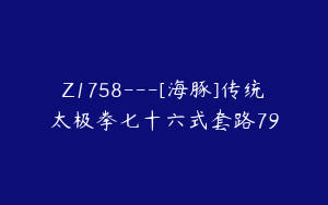 Z1758---[海豚]传统太极拳七十六式套路79