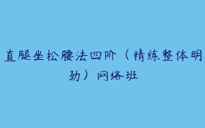 直腿坐松腰法四阶（精练整体明劲）网络班