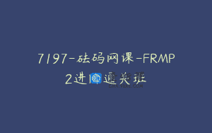7197-砝码网课-FRMP2进阶通关班