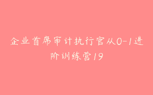企业首席审计执行官从0-1进阶训练营19