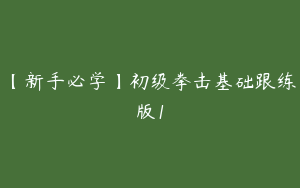 【新手必学】初级拳击基础跟练版1