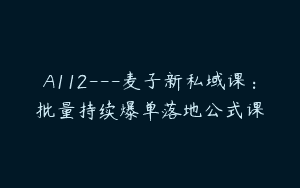 A112—麦子新私域课：批量持续爆单落地公式课