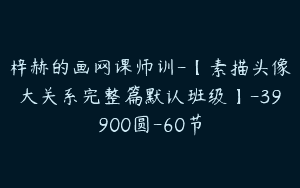 梓赫的画网课师训-【素描头像大关系完整篇默认班级】-39900圆-60节