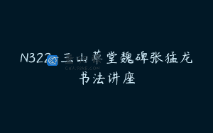 N322-三山草堂魏碑张猛龙书法讲座