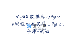 MySQL数据库与Python编程开发实战_Python导师-蚂蚁
