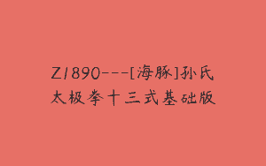 Z1890—[海豚]孙氏太极拳十三式基础版