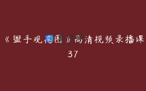 《盥手观花图》高清视频录播课37