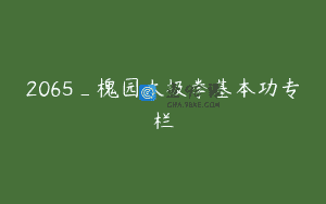2065_槐园太极拳基本功专栏