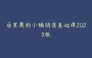 马里奥的小铺销售基础课2023版