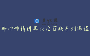 韩帅帅精讲耳穴治百病系列课程