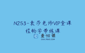 N253-袁莎老师VIP全课程畅学带练课