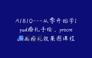 A1810—从零开始学Ipad婚礼手绘，procreate画婚礼效果图课程