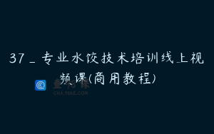 37_专业水饺技术培训线上视频课(商用教程)