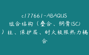 c177661-ABAQUS组合结构（叠合、钢骨(SC)）柱、保护层、耐火极限热力耦合
