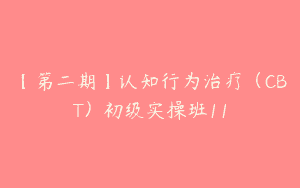 【第二期】认知行为治疗（CBT）初级实操班11