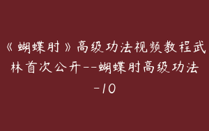 《蝴蝶肘》高级功法视频教程武林首次公开--蝴蝶肘高级功法-10
