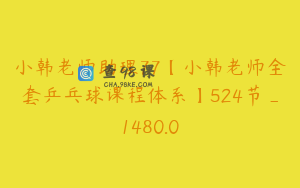 小韩老师助理77【小韩老师全套乒乓球课程体系】524节_1480.0