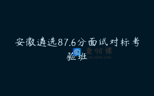 安徽遴选87.6分面试对标考验班
