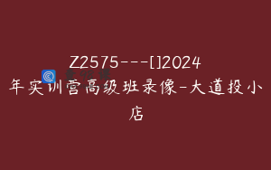 Z2575---[]2024年实训营高级班录像-大道投小店