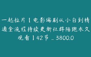 一起拉片【电影编剧从小白到精通全流程持续更新社群陪跑永久观看】42节_3800.0