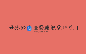 海豚知道【家庭触觉训练】