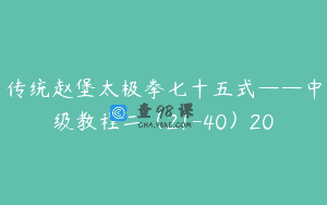 传统赵堡太极拳七十五式——中级教程二（21-40）20
