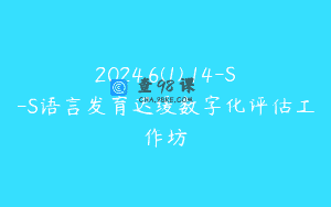 2024.6(1).14-S-S语言发育迟缓数字化评估工作坊