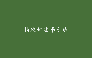 特效针法弟子班