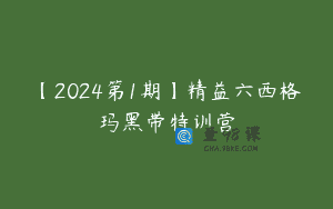 【2024第1期】精益六西格玛黑带特训营