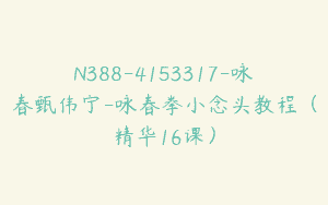 N388-4153317-咏春甄伟宁-咏春拳小念头教程（精华16课）