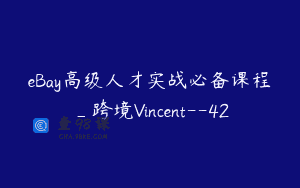 eBay高级人才实战必备课程_跨境Vincent–42