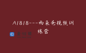 A1818—雨朵爸视频训练营