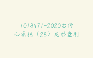 1018471-2020古传心意把（28）龙形盘肘