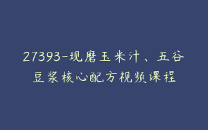 27393-现磨玉米汁、五谷豆浆核心配方视频课程
