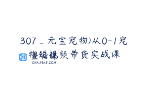 307_元宝宠物)从0-1宠物短视频带货实战课
