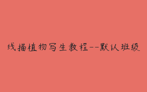 线描植物写生教程--默认班级